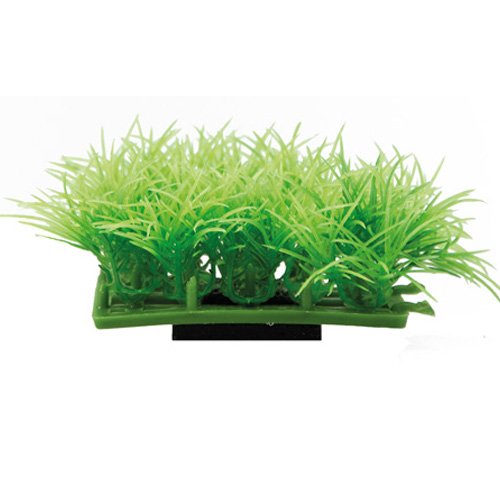 Hobby Plant Pad 2