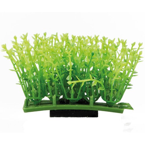 Hobby Plant Pad 1