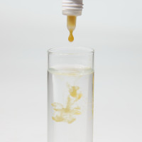 JBL ProNovo Bel Fluid 50ml