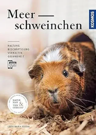 Kosmos Meerschweinchen