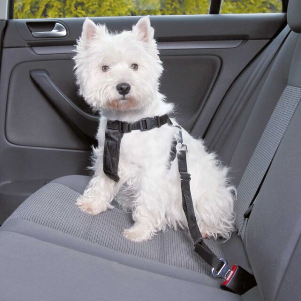 Trixie Auto Geschirr XS