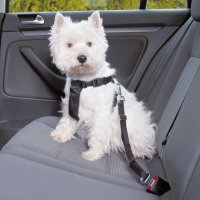 Trixie Auto Geschirr XS