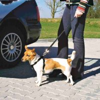Trixie Auto Geschirr XS