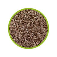 Hobby Artemia 20ml