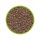 Hobby Artemia 20ml