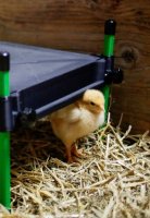 Kerbl Wärmeplatte CosyHeat 25W