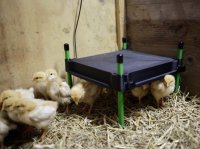 Kerbl Wärmeplatte CosyHeat 25W