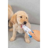 Trixie Junior Leberwurst 75g