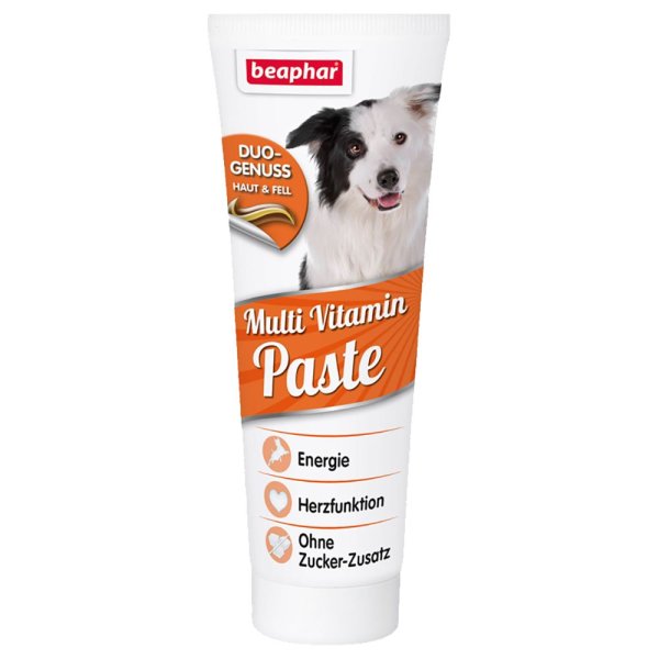 Beaphar Multi Vitamin-Paste Hund 250g