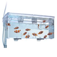 Fluval Hang on Aufzuchtbecken L