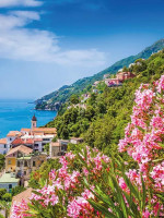 Mairol Sommerfeeling 1L