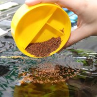 JBL ProNovo Bel Grano S 1000ml