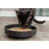 Trixie Salmon Soup Huhn/Lachs 80g