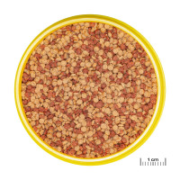 JBL ProNovo Color Grano M Click 250ml