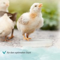 IdaPlus ProBiotic 180g