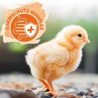 IdaPlus ProBiotic 180g