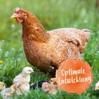 IdaPlus ProBiotic 180g