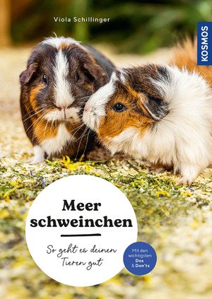 Kosmos Meerschweinchen