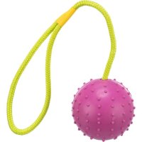 Trixie Ball am Seil ø 6/30 cm