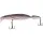 FTM JustPro Nightveit Jointed 120 Natural Roach