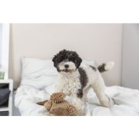Trixie Plüsch Geier Gustav 28cm