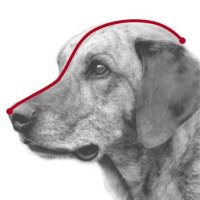 Trixie Maulkorb Kunststoff M 20cm