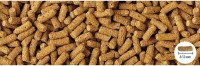 TetraPond Wheatgerm Sticks 4L