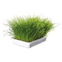 Trixie Softgras Schale 100g