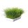 Trixie Softgras Schale 100g