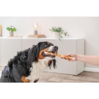 Trixie Denta Fun Chicken Rolls 12cm