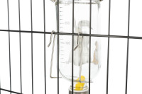 Trixie Honey & Hopper Glastränke 125ml