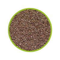 Hobby Aufzuchtschale Artemia