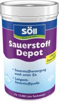 Söll Sauerstoff Depot 30 Tab.