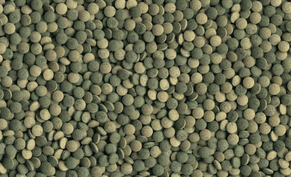 Tetra Pleco Tablets 36g