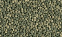 Tetra Pleco Tablets 36g