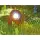 Oase LunAqua Power LED Set 1